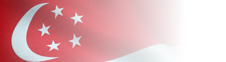 Singapore Flag